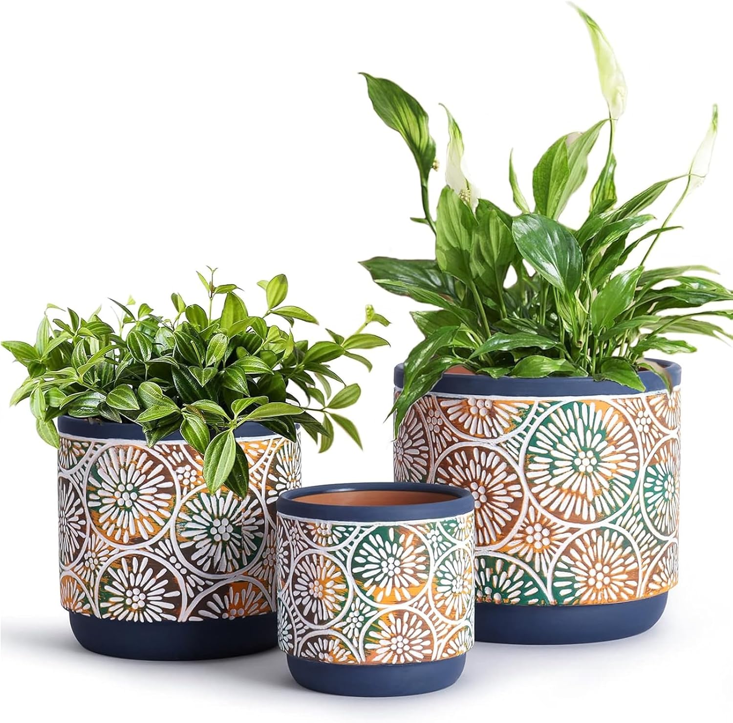 Snake Plant Ceramic - DeeCoo 3 Piece Ceramic Plant pots