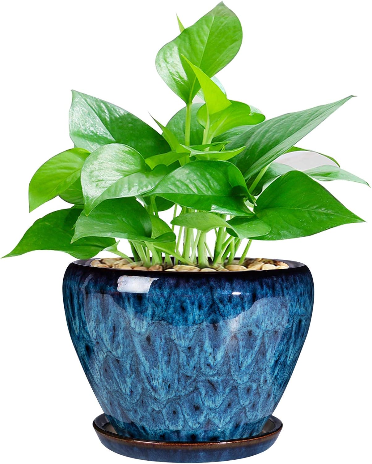 Snake Plant Ceramic - Ceramic Succulent Planter Pot with Drainage