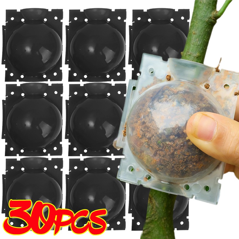 Reusable Plant Rooting Ball Gr - مراجعة Plant Parents وسعره