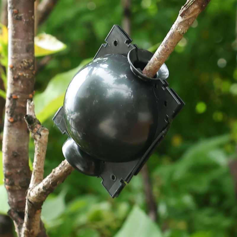 Reusable Plant Rooting Ball Gr - مراجعة Plant Parents وسعره