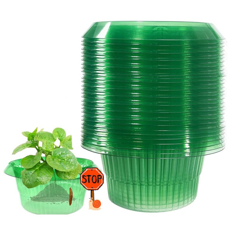 5-25Pcs Plants Slug Protection - مراجعة Plant Parents وسعره