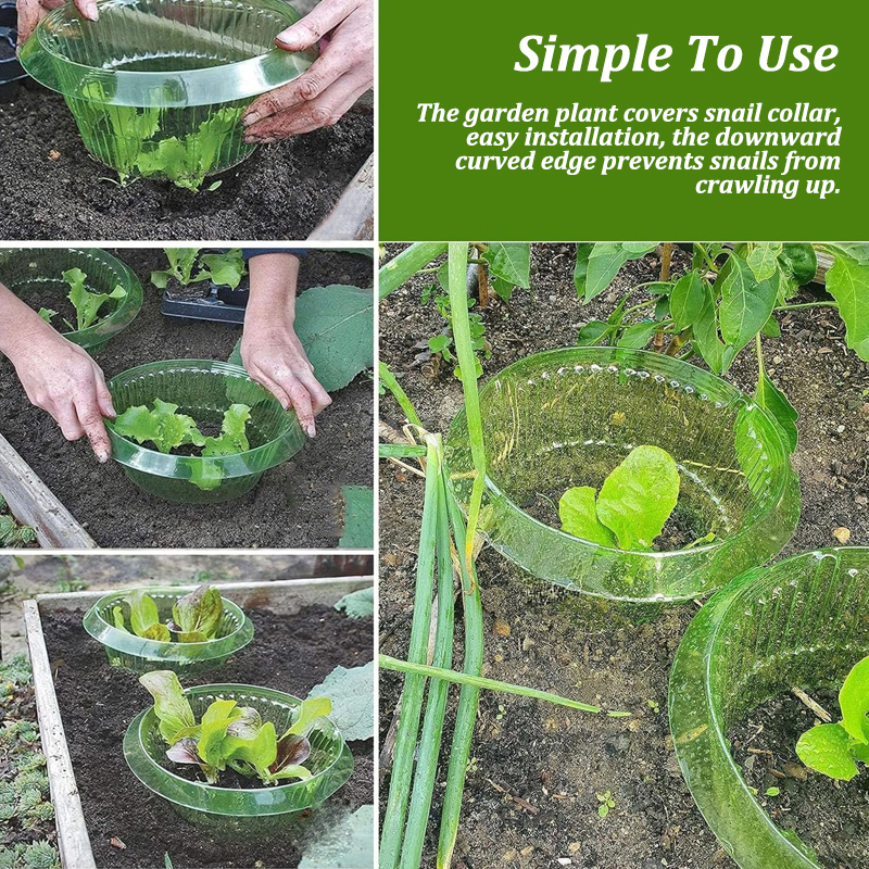 5-25Pcs Plants Slug Protection - مراجعة Plant Parents وسعره