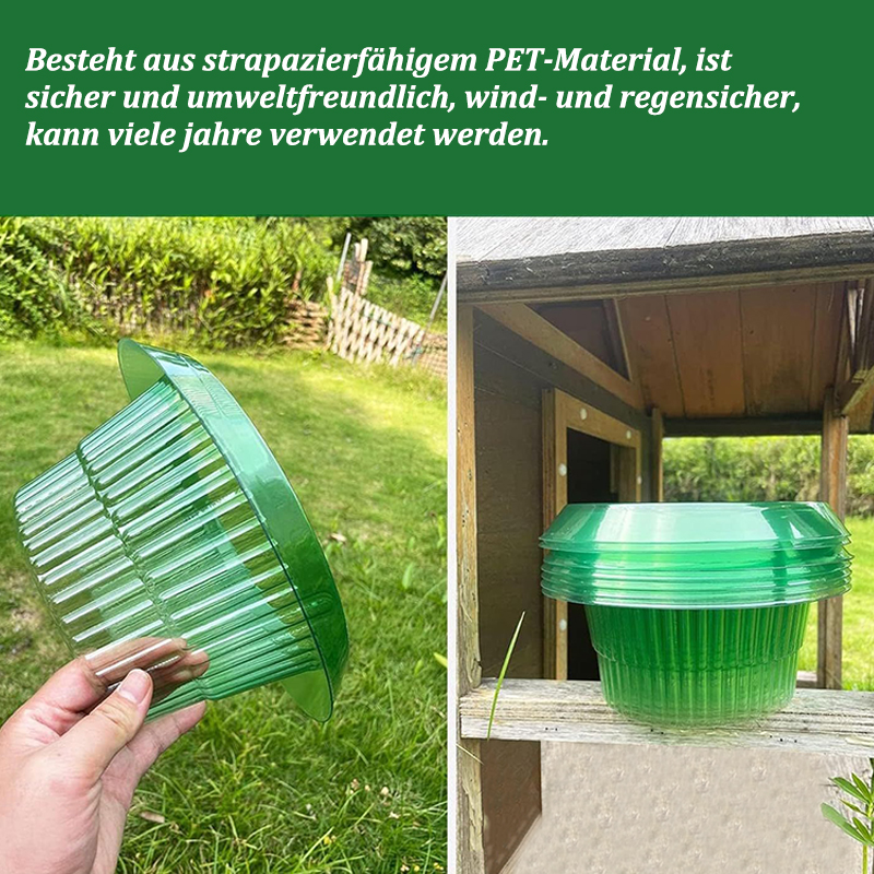 5-25Pcs Plants Slug Protection - مراجعة Plant Parents وسعره