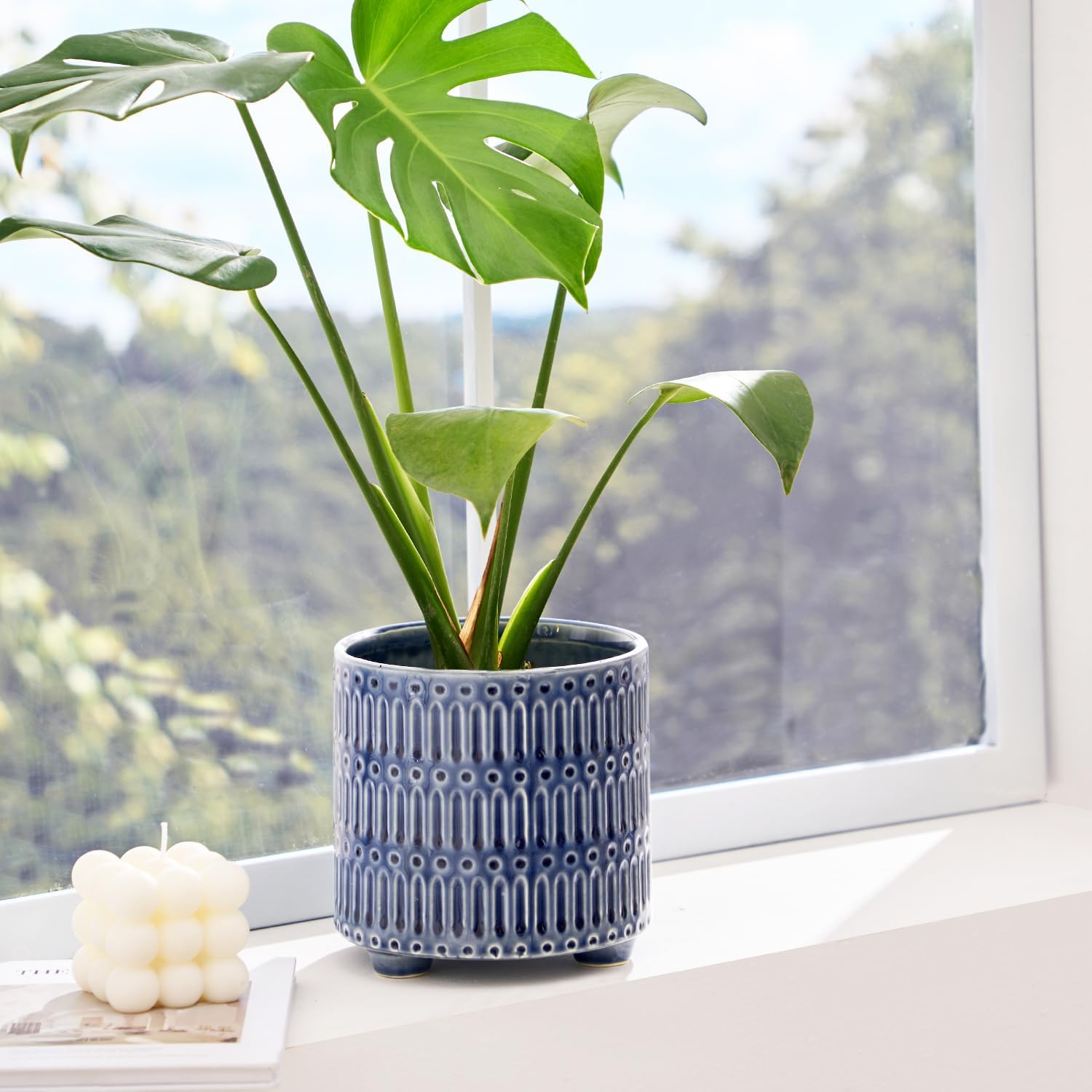 5 Inch Ceramic Planters for In - مراجعة Snake Plant Ceramic وسعره