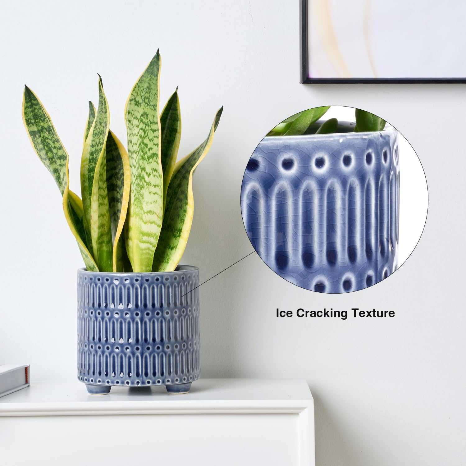 5 Inch Ceramic Planters for In - مراجعة Snake Plant Ceramic وسعره
