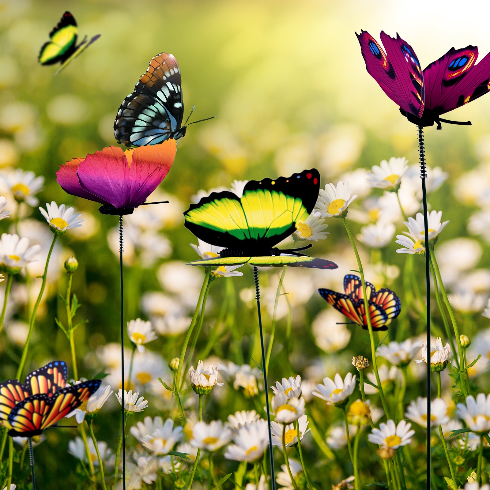 24Pcs/set Butterflies Garden Y - مراجعة Plant Parents وسعره