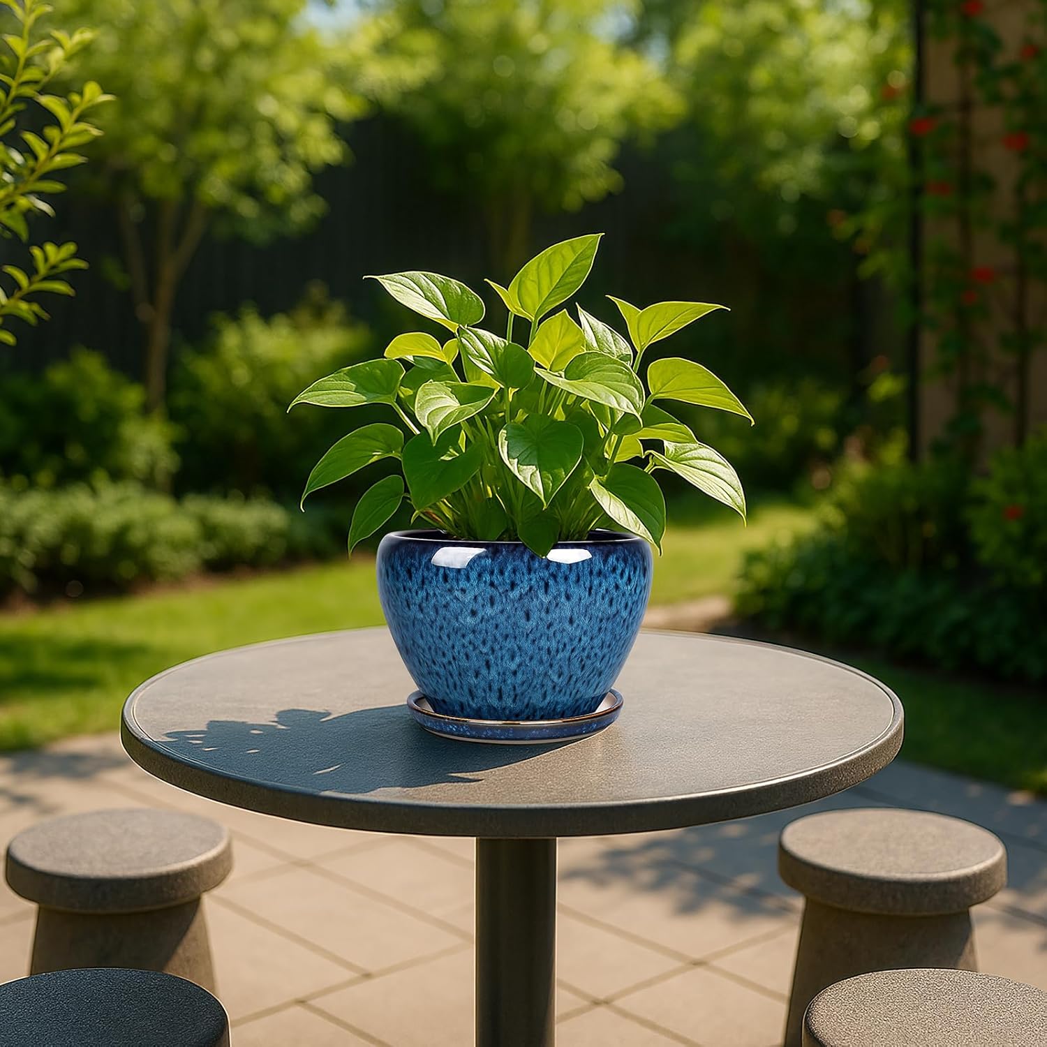 6 Inch Ceramic Plant Pots with - مراجعة Snake Plant Ceramic وسعره