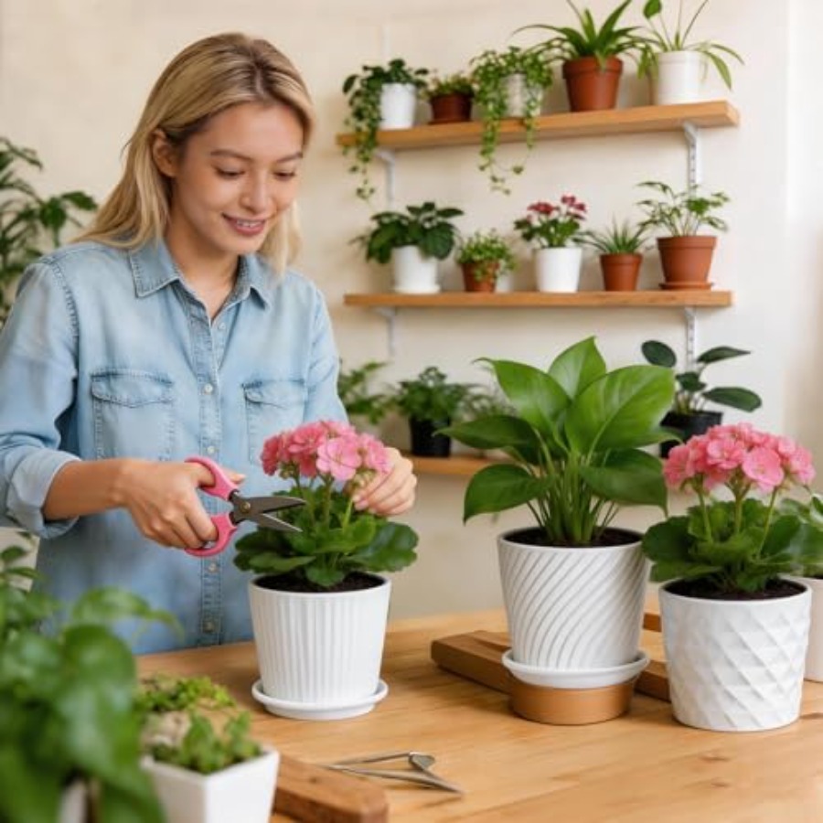 Plant Pots - Cylinder Ceramic  - مراجعة Snake Plant Ceramic وسعره