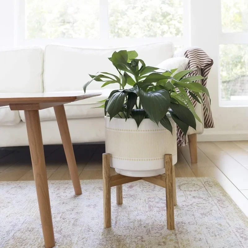 Large Ceramic Plant Pot with S - مراجعة Snake Plant Ceramic وسعره