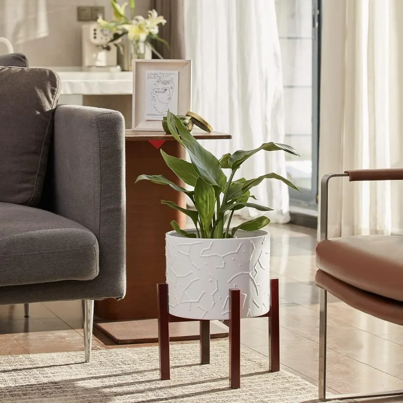 Large Ceramic Plant Pot with S - مراجعة Snake Plant Ceramic وسعره