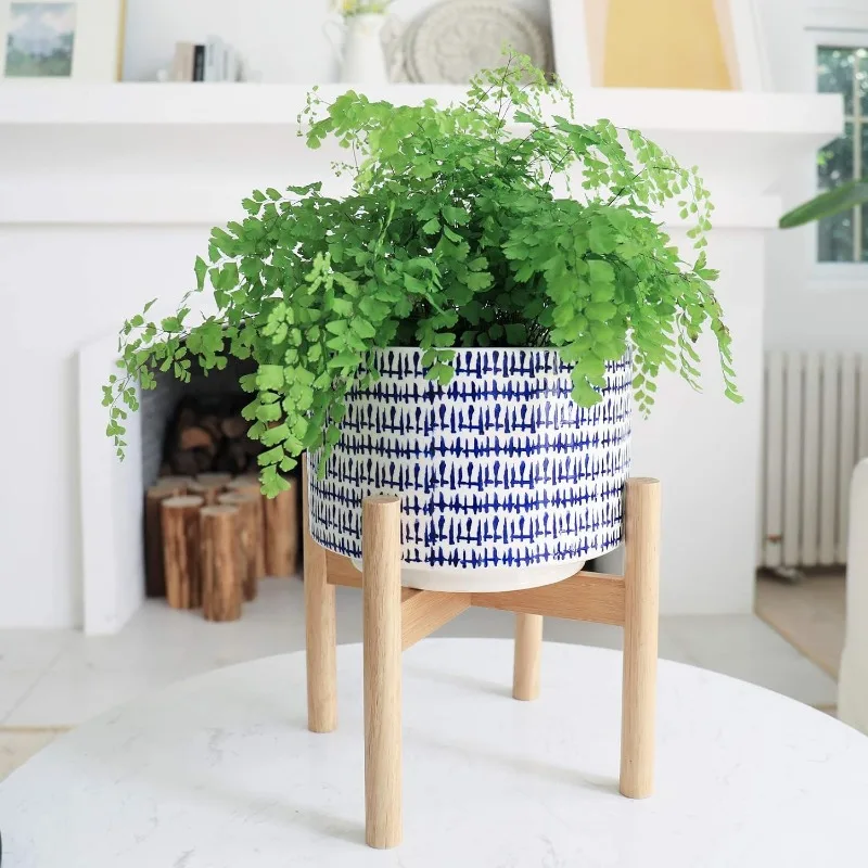 Large Ceramic Plant Pot with S - مراجعة Snake Plant Ceramic وسعره