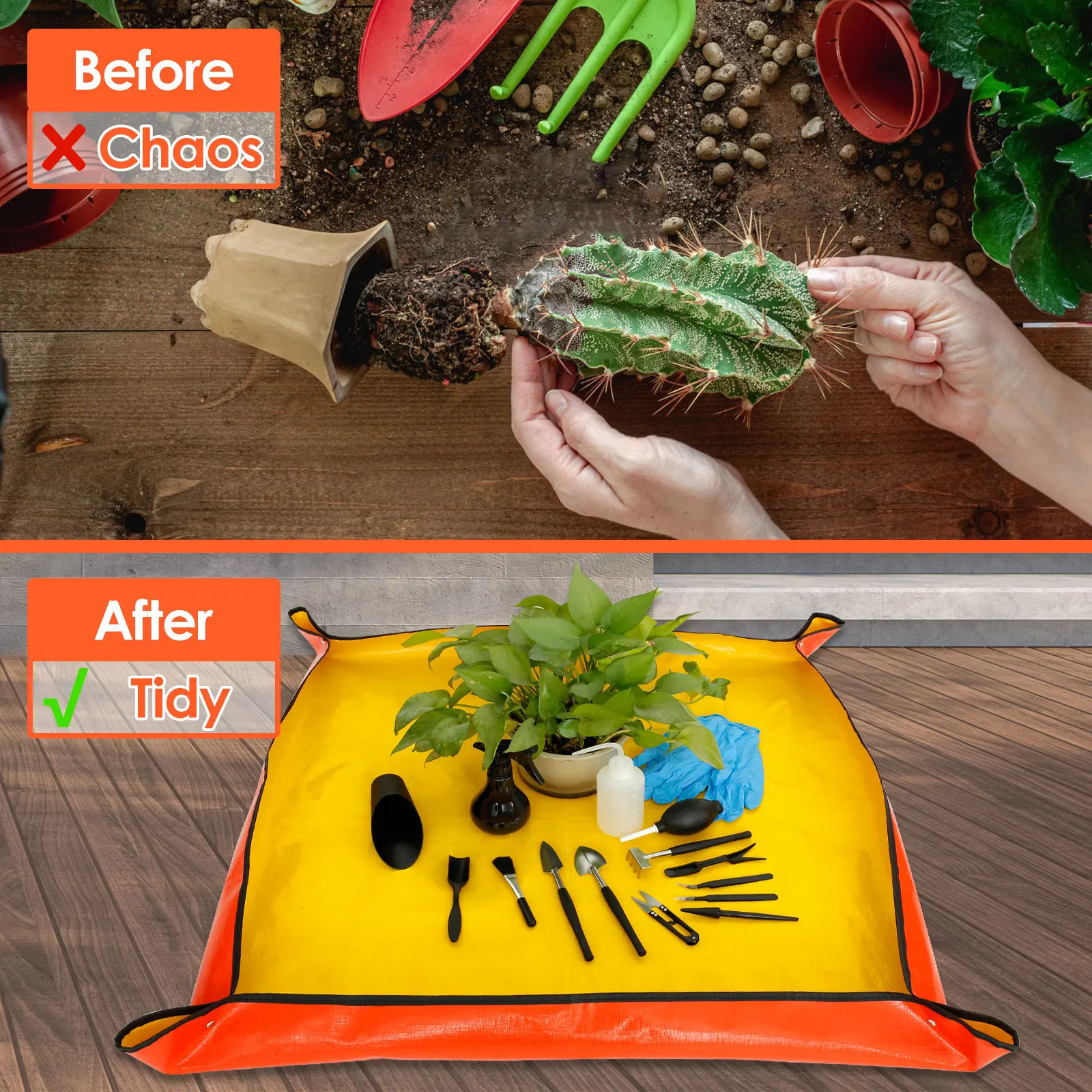13/16Pcs Garden Succulent Plan - مراجعة Plant Parents وسعره