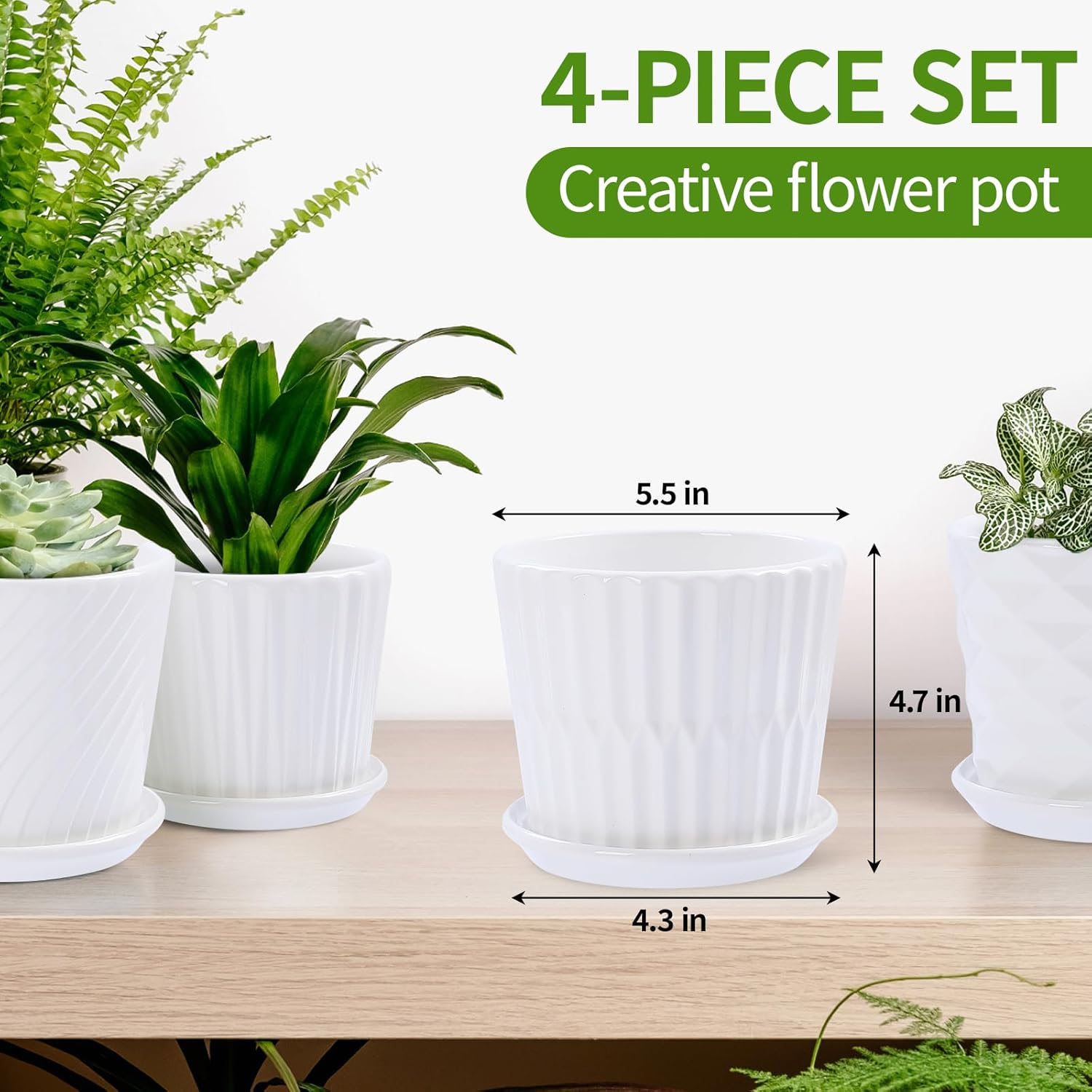 Plant Pots - 5.5 Inch Cylinder - مراجعة Snake Plant Ceramic وسعره