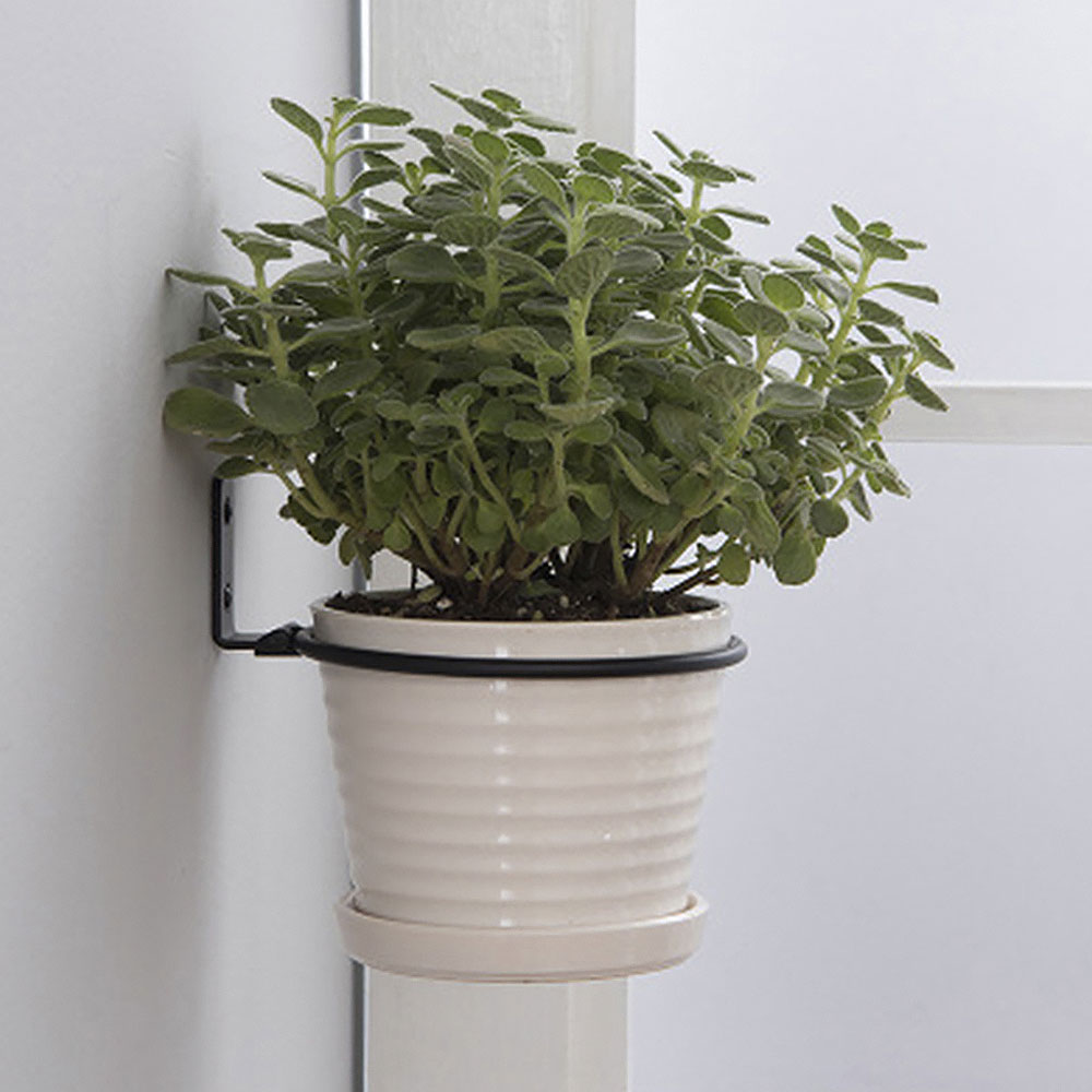 Flower Pot Trays Wall Mounted  - مراجعة Plant Parents وسعره