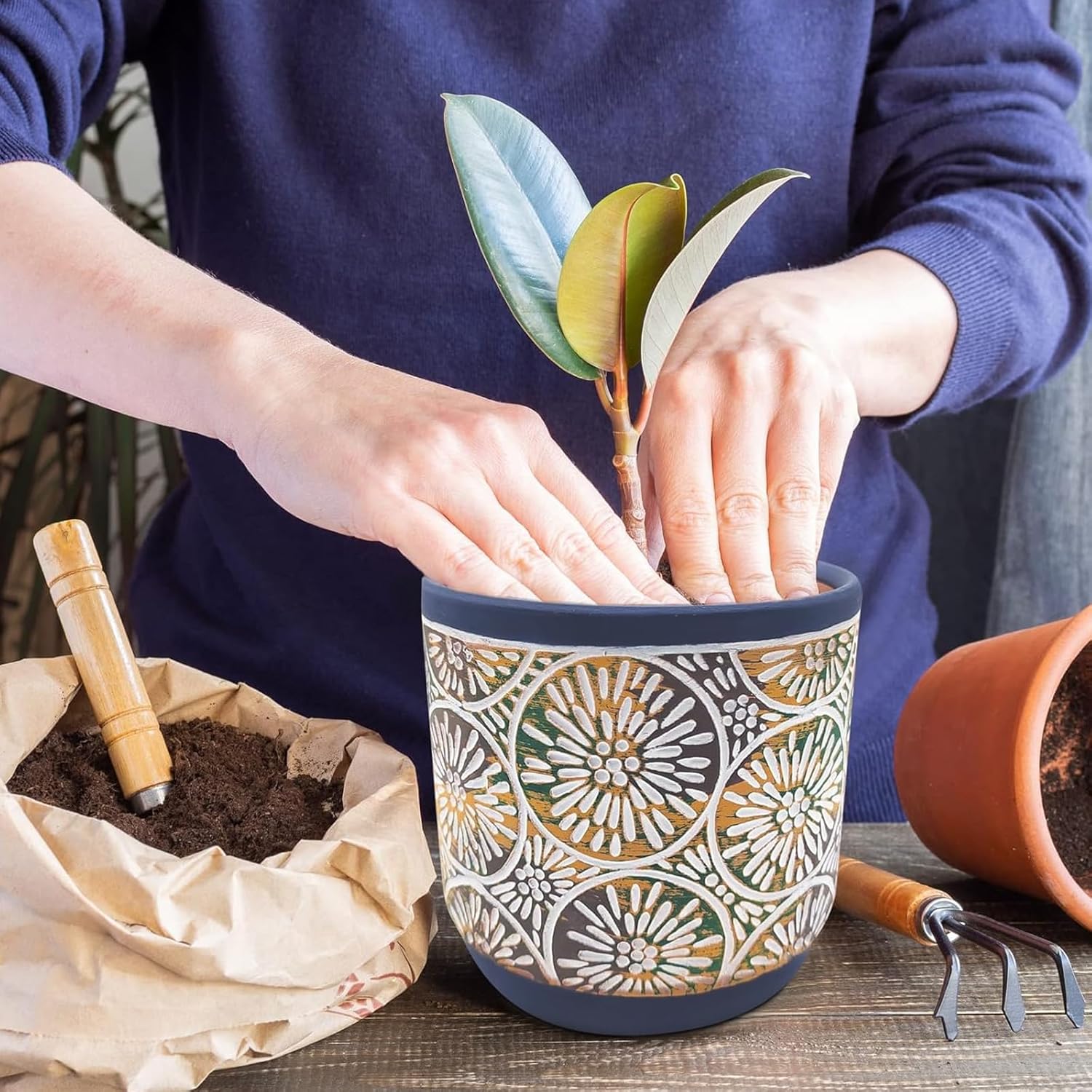 DeeCoo 3 Piece Ceramic Plant p - مراجعة Snake Plant Ceramic وسعره