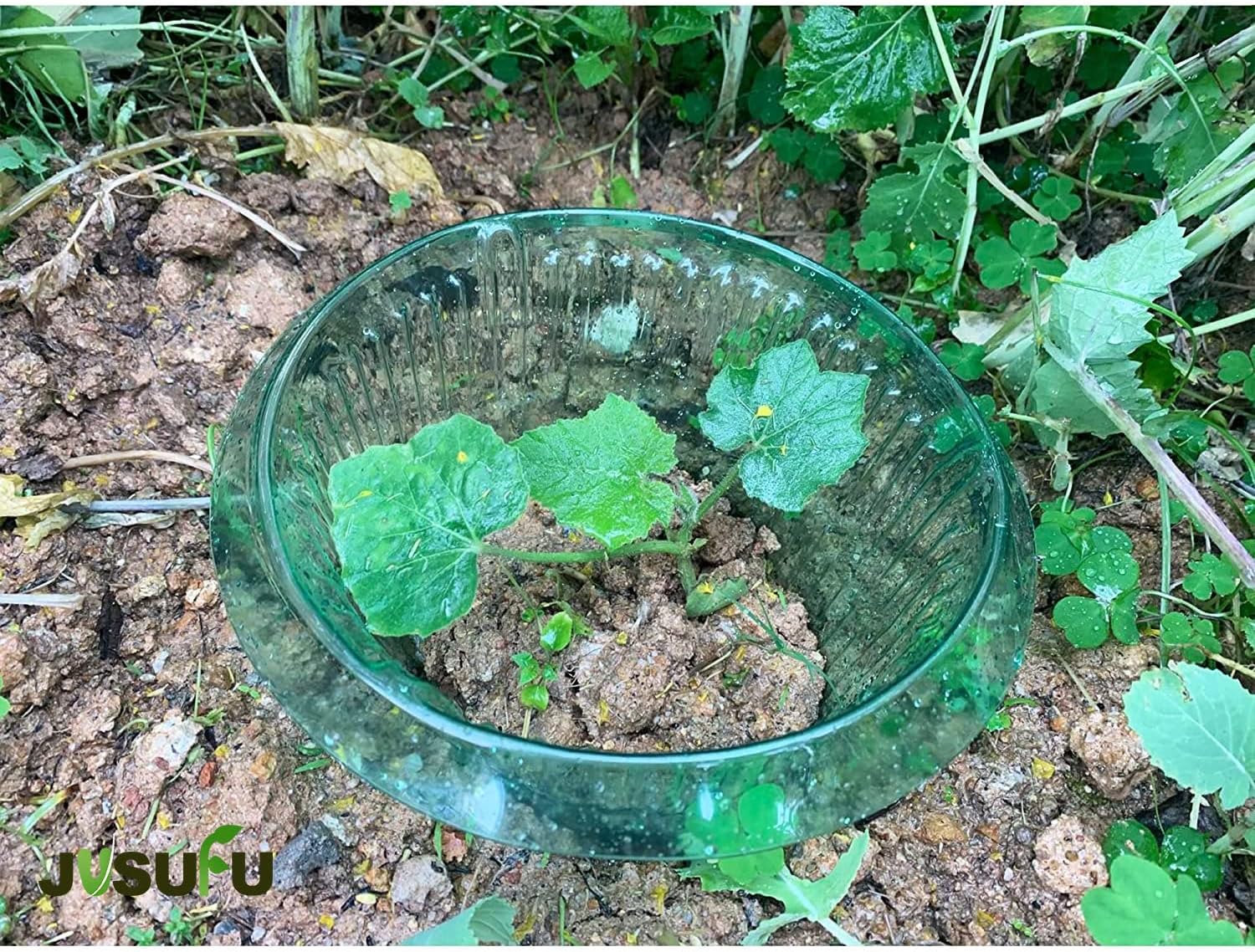 1/30pcs Plants Slug Protection - مراجعة Plant Parents وسعره