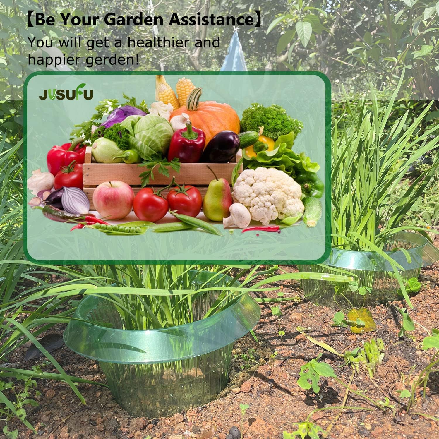 1/30pcs Plants Slug Protection - مراجعة Plant Parents وسعره