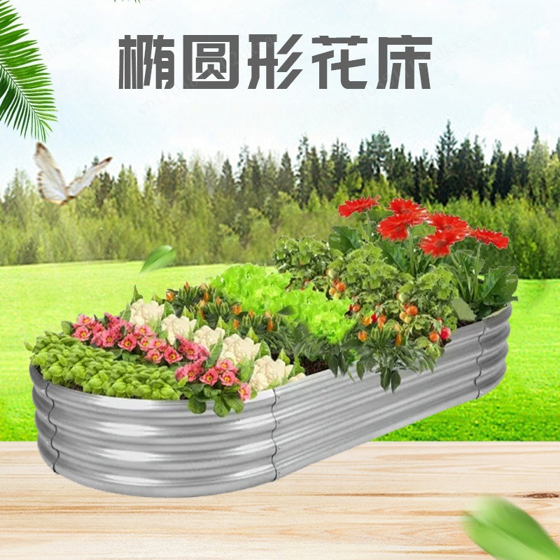 Colorful flower box oval plant - مراجعة Plant Parents وسعره