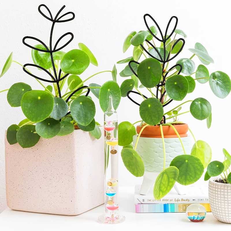 3Pcs Plant Support Frame Climb - مراجعة Plant Parents وسعره