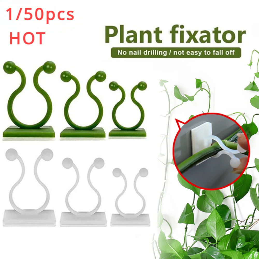 1/30/50Pcs For Garden Accsesor - مراجعة Plant Parents وسعره