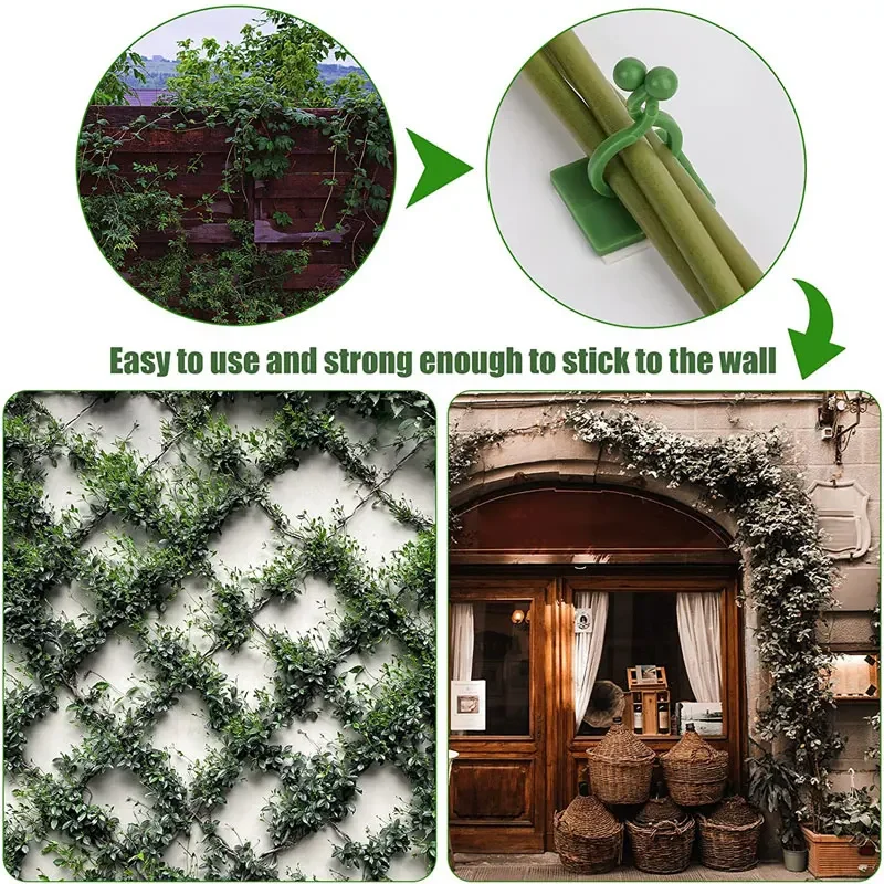 1/30/50Pcs For Garden Accsesor - مراجعة Plant Parents وسعره