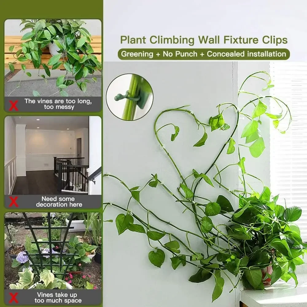 1/30/50Pcs For Garden Accsesor - مراجعة Plant Parents وسعره