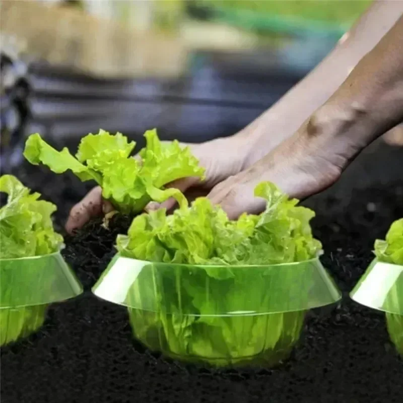 Plants Slug Protection Rings V - مراجعة Plant Parents وسعره