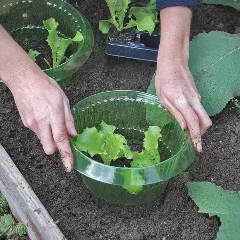 Plants Slug Protection Rings V - مراجعة Plant Parents وسعره