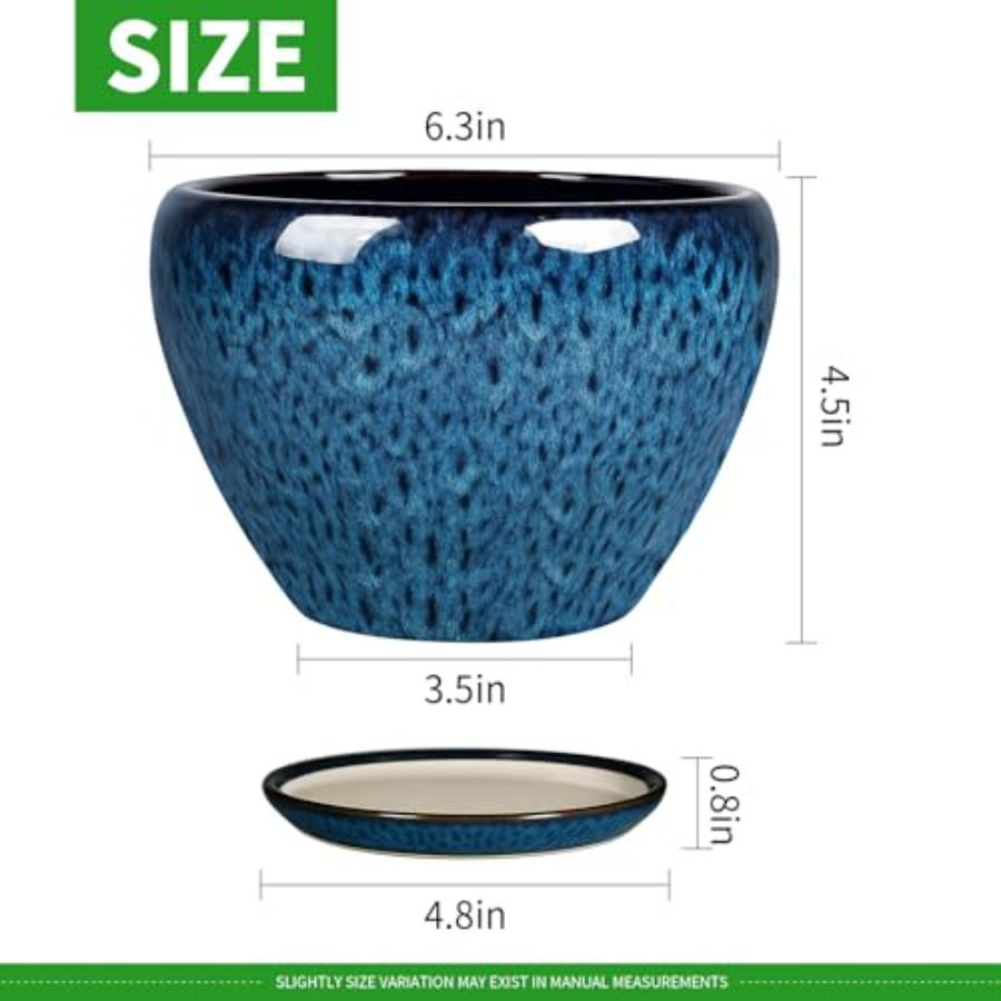 Plant Pots- Ceramic Planter Po - مراجعة Snake Plant Ceramic وسعره