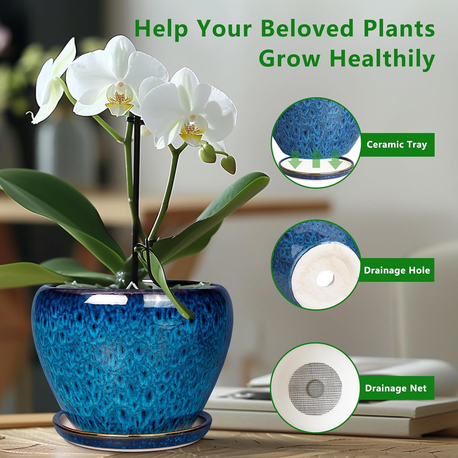 Ceramic Succulent Planter Pot  - مراجعة Snake Plant Ceramic وسعره